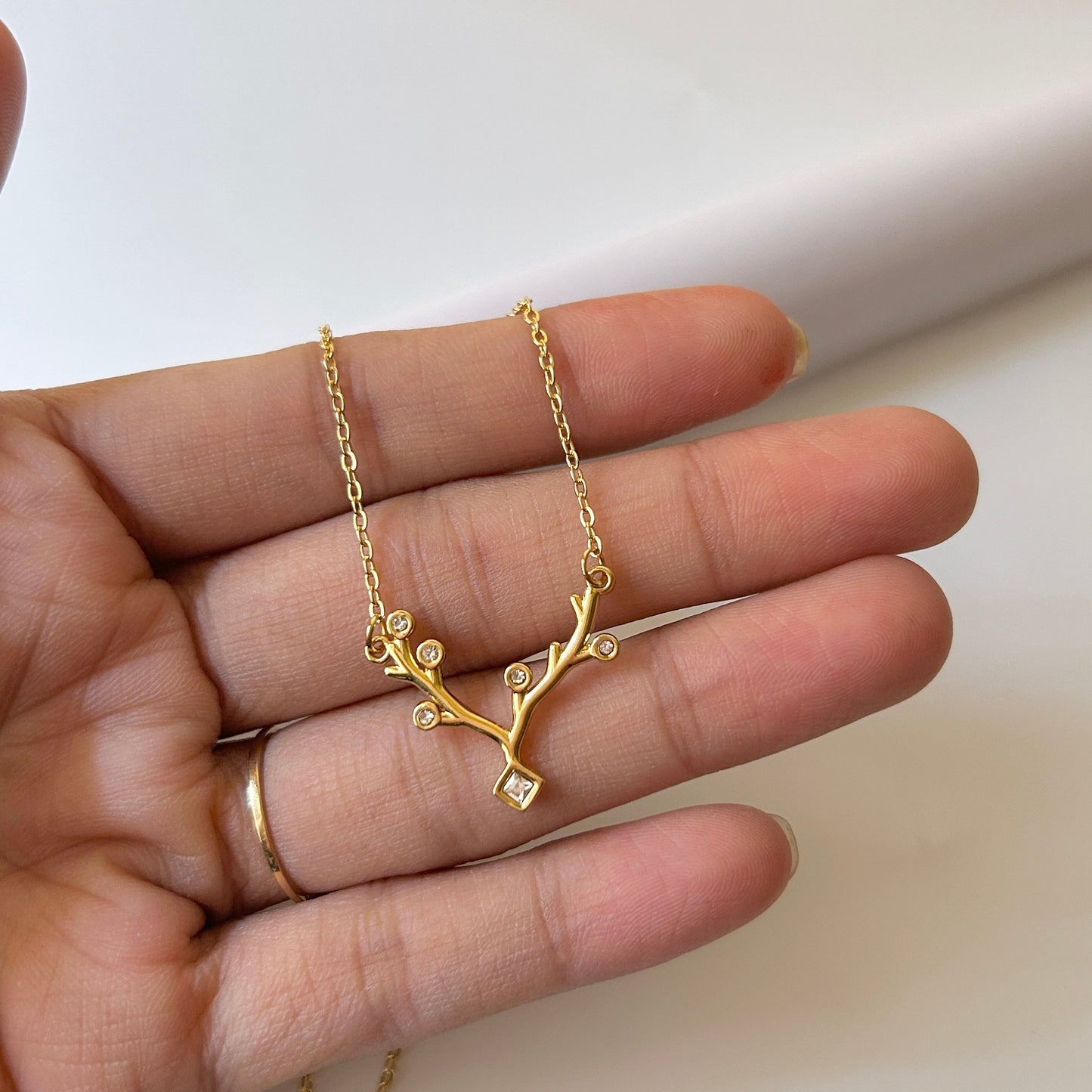 Horn necklace