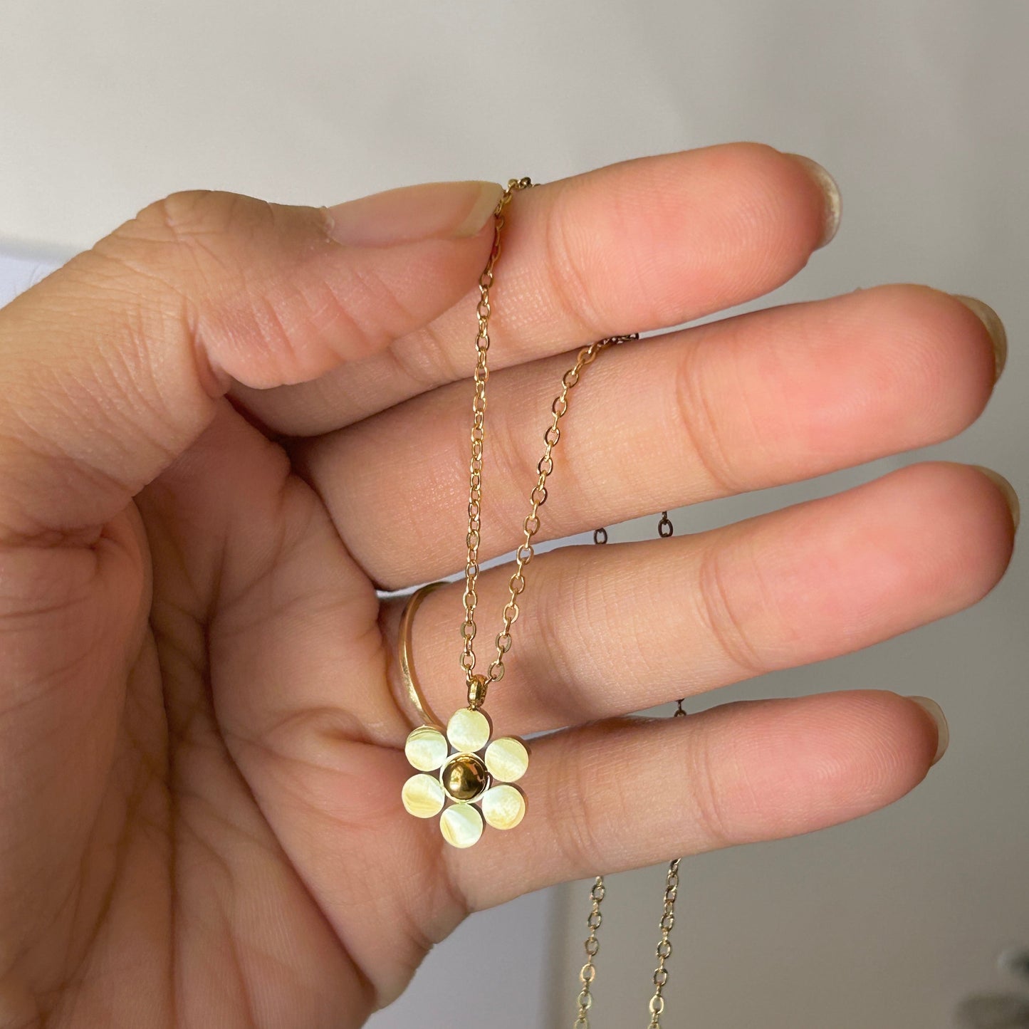 Daisy 2.0
